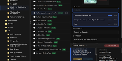 Metadata Remote screenshot thumbnail