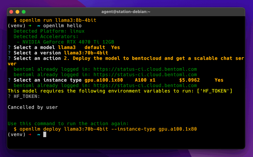 OpenLLM