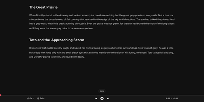 OpenReader thumbnail