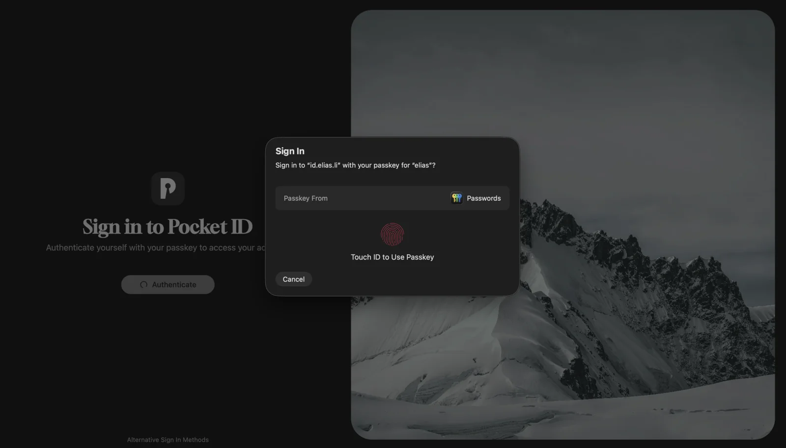 Pocket ID
